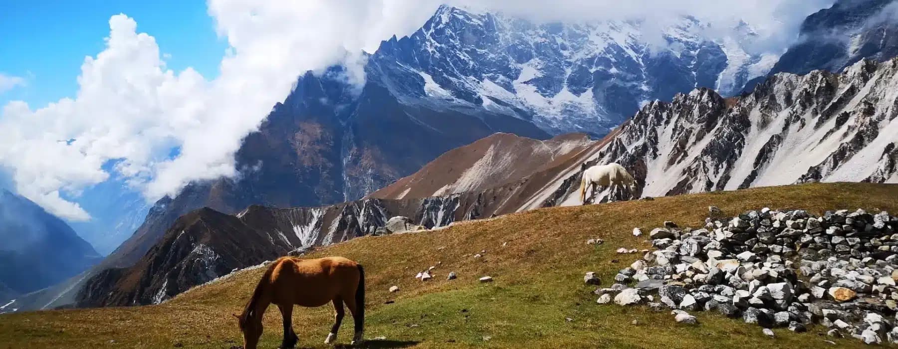 Best Langtang Trekking Tours in April, 2024