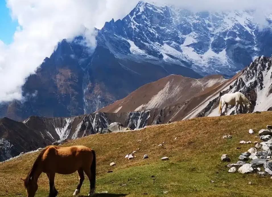 Best Langtang Trekking Tours in April, 2024