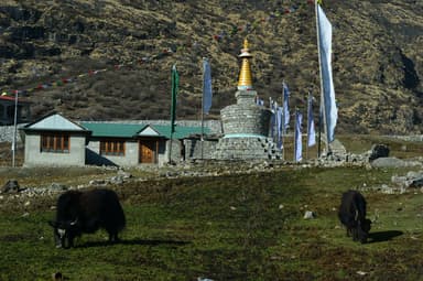 WhatsApp Image 2025 11 15 at 19.31.00 f821a591