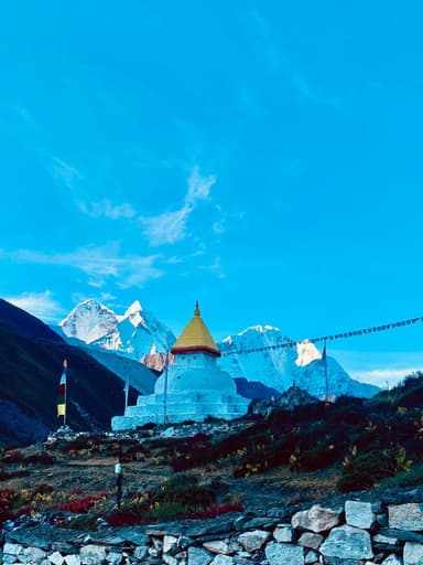 WhatsApp Image 2025 11 10 at 22.31.30 595b321e