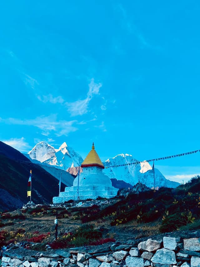 WhatsApp Image 2025 11 10 at 22.31.30 595b321e