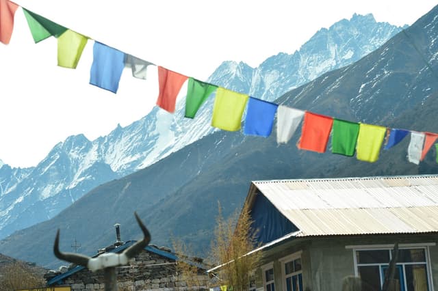 WhatsApp Image 2025 11 15 at 19.31.02 b0521cf7