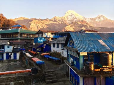 WhatsApp Image 2025 11 11 at 20.15.14 e969dcb3