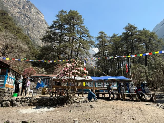 WhatsApp Image 2025 11 15 at 19.30.57 6ff10c16