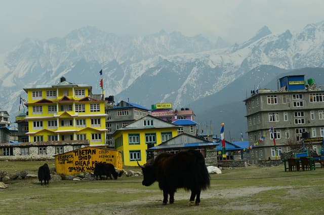 WhatsApp Image 2025 11 15 at 19.31.03 ef11a1a3