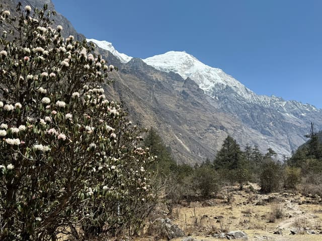 WhatsApp Image 2025 11 15 at 19.30.58 b149018c