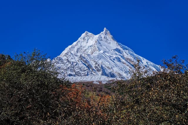 WhatsApp Image 2025 11 03 at 01.17.50 2fdcc3e9