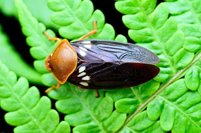 WhatsApp Image 2025 10 15 at 01.37.43 da4613a5