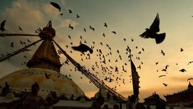 WhatsApp Image 2025 08 19 at 00.20.28 161b83a3