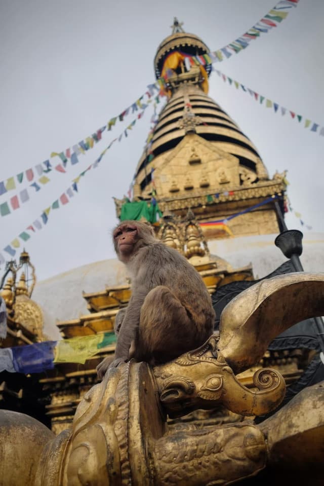 WhatsApp Image 2025 08 25 at 04.31.55 e48844f6