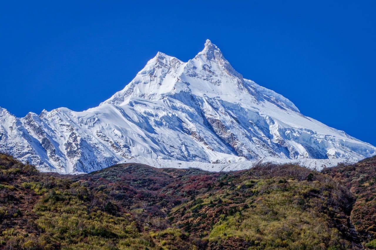 WhatsApp Image 2025 11 03 at 01.25.14 14cf43cc