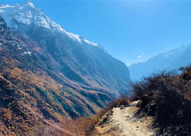 31f384cf 828c 489a 9610 6034f8ea6ed0 E1647851556482