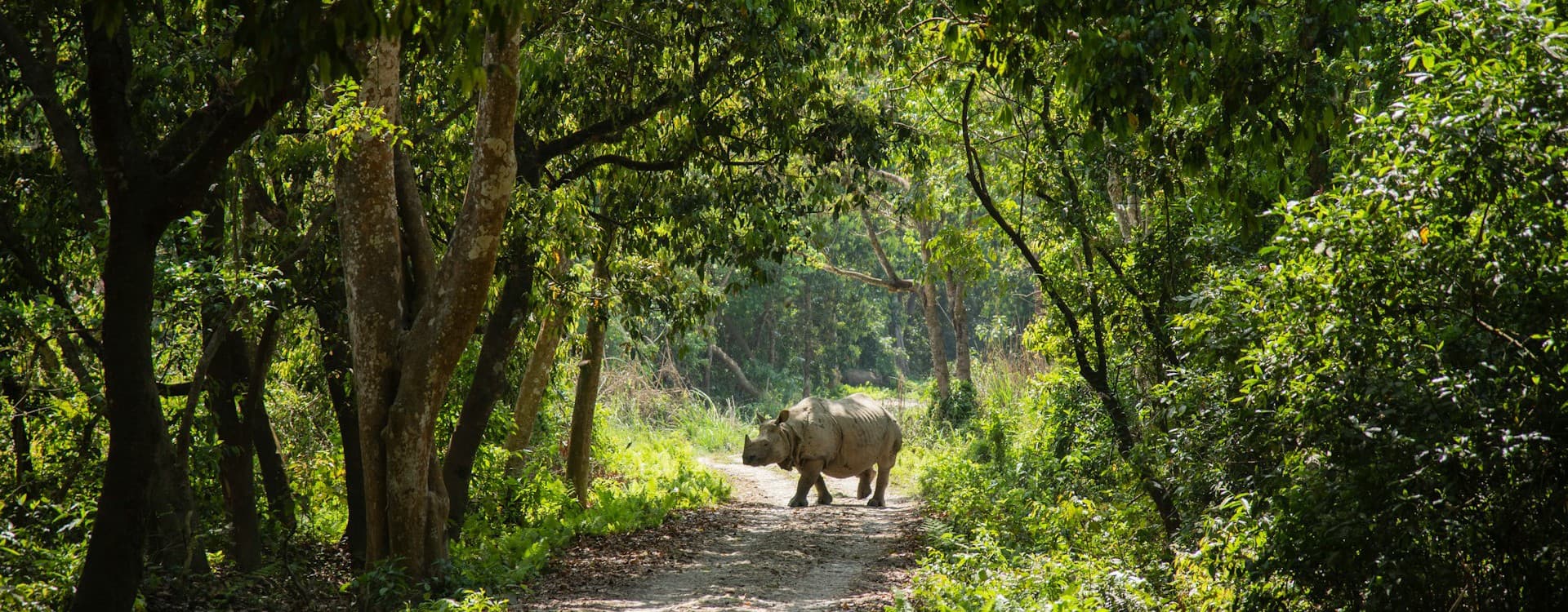 Wildlife Tours
