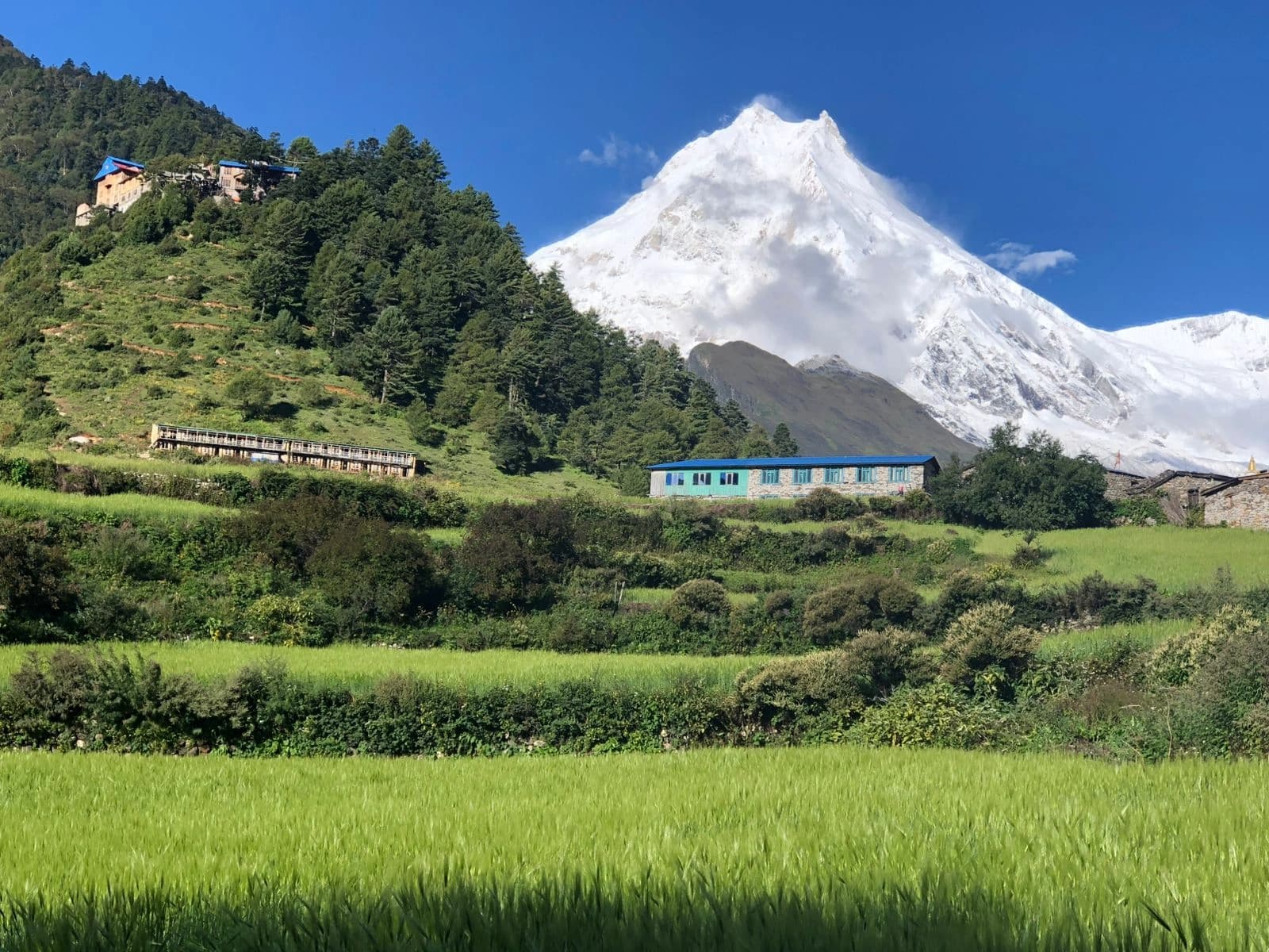 Agricultural fields with backdrop of Manaslu