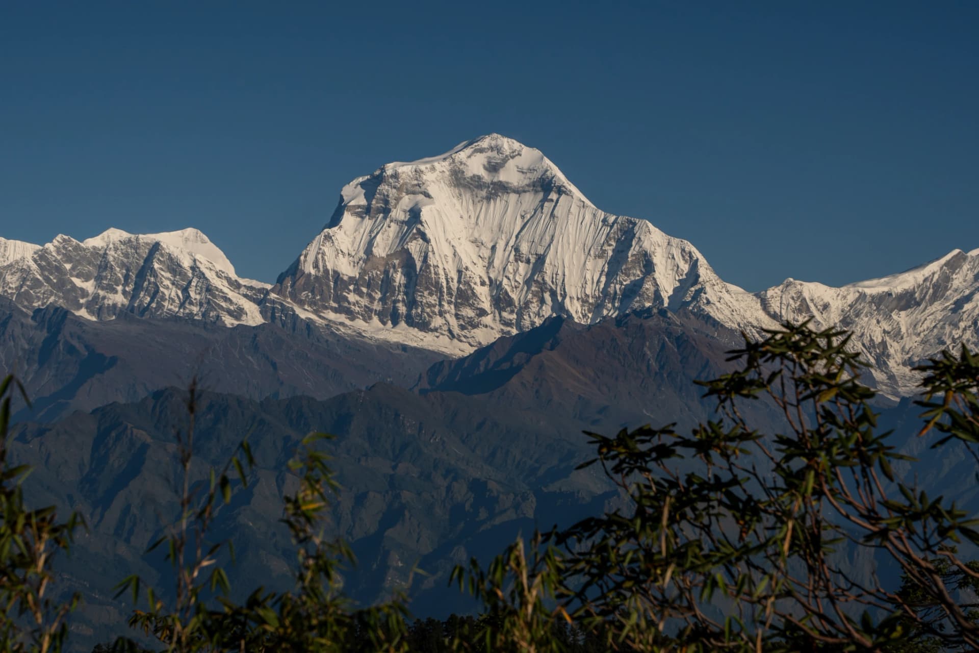 Mount Dhaulagiri as seen from Poon Hill