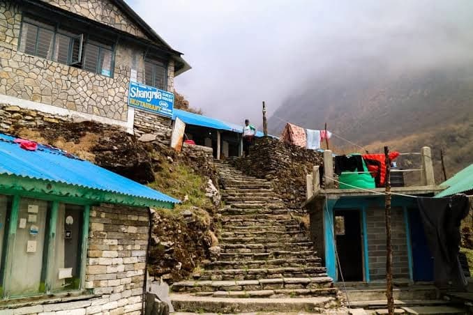 Trek to Deurali (3,200m/10,498ft) 5 to 6 hour trek