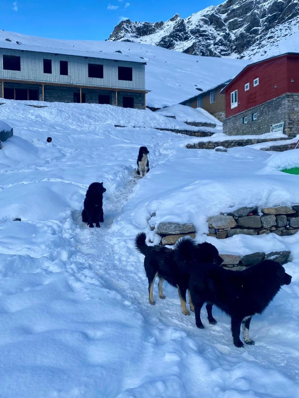 Dingboche to Lobuche