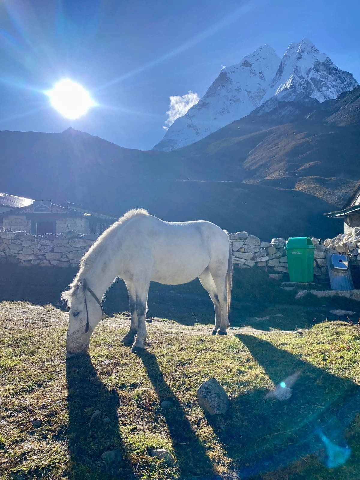 EBC Acclimatization Day: Hike to Nagerjun Hill and Return