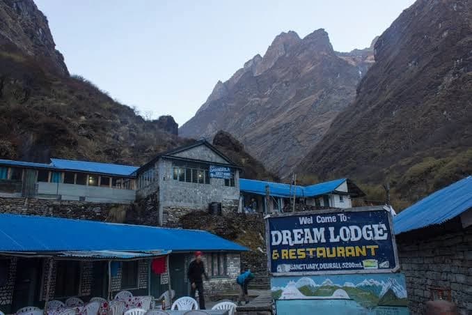 Trek to Deurali (3,200m/10,498ft) 5 to 6 hour trek