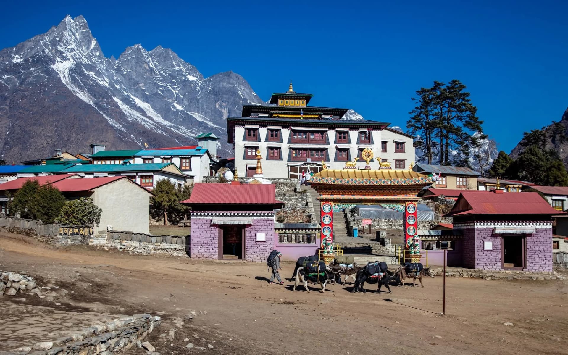 Trek to Tengboche