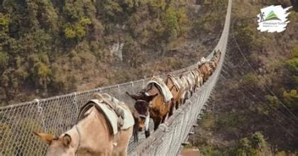 Trek to Jhinu Danda (1,780m/5,839ft) (Hot Spring) 5 to 6-hour trek