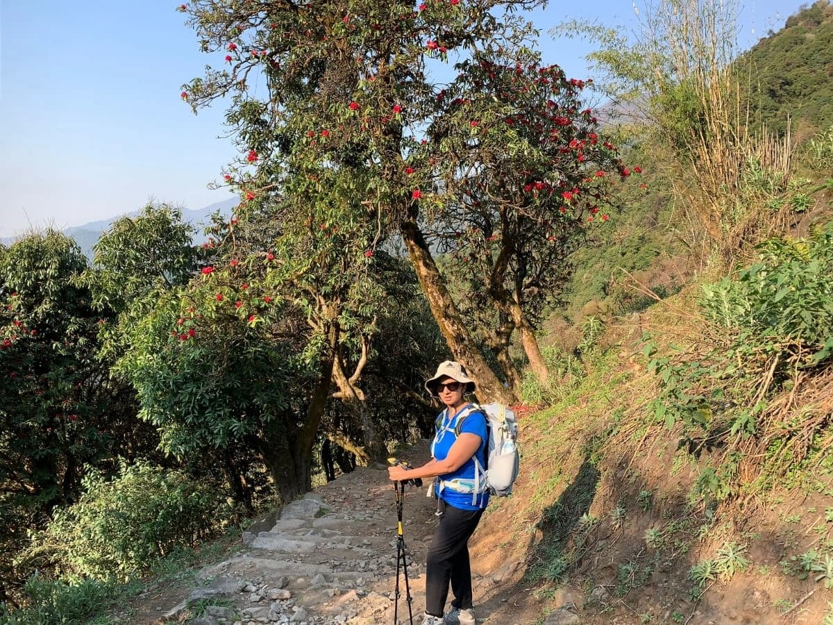 Trek to Bamboo (2,310m/7,579ft) 5 to 6 hour trek
