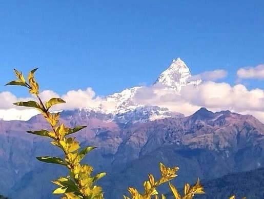 Trek to Deurali (3,200m/10,498ft) 5 to 6 hour trek