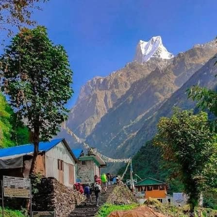 Trek to Dovan (2,600m/8,530ft) 6 to 7 hour trek