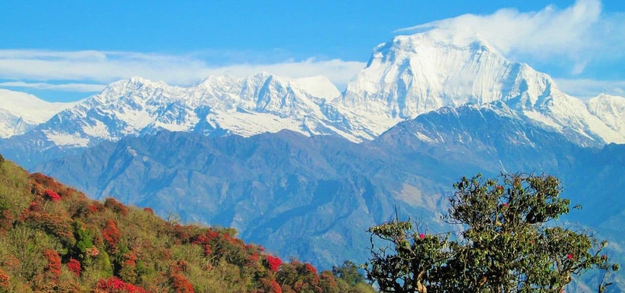 How Pleasant Spring is for Trekking in Nepal?