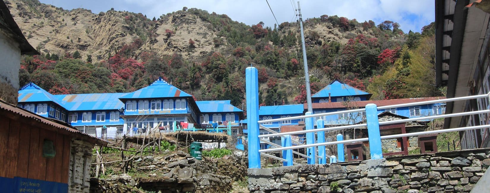 Ghorepani Guesthouses