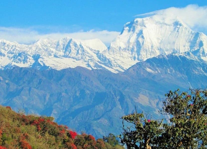 How Pleasant Spring is for Trekking in Nepal?