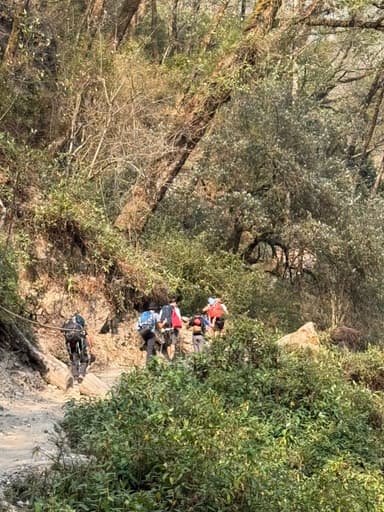 WhatsApp Image 2025 11 15 at 19.27.20 90477671