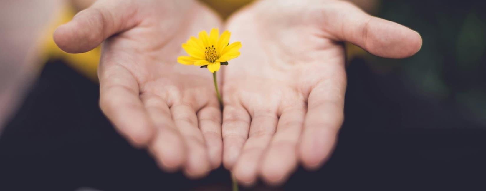 Help Section Heaven Himalaya