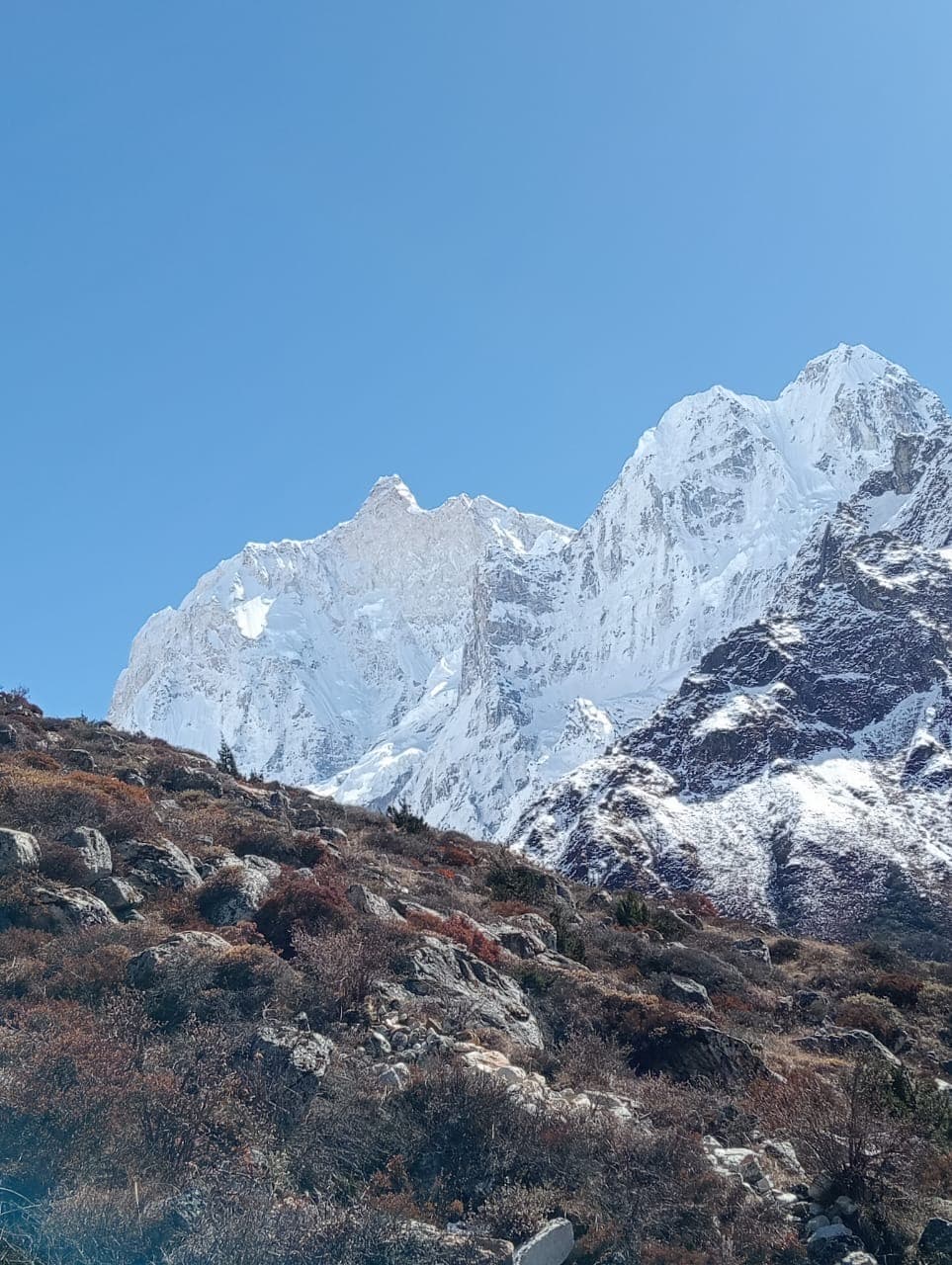 6fdc5bc0 0843 42b7 Ad71 D1d0495b9484