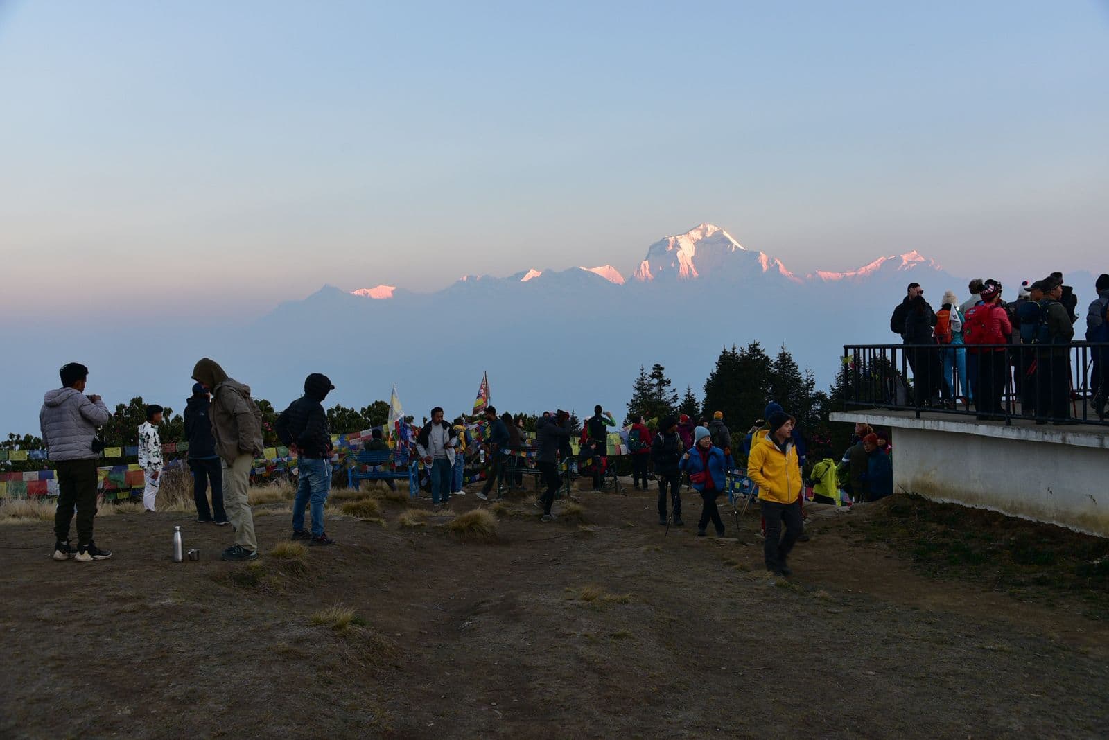 WhatsApp Image 2025 10 31 at 01.24.12 834729d8