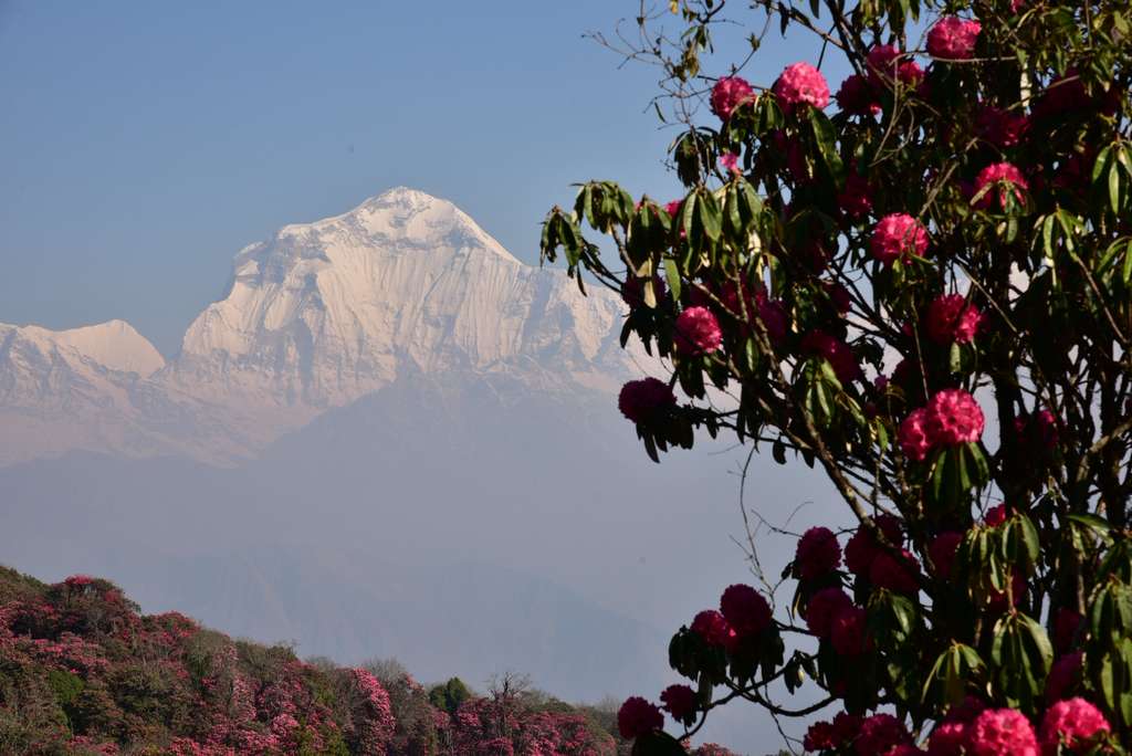 WhatsApp Image 2025 10 31 at 01.24.12 7d3bda21