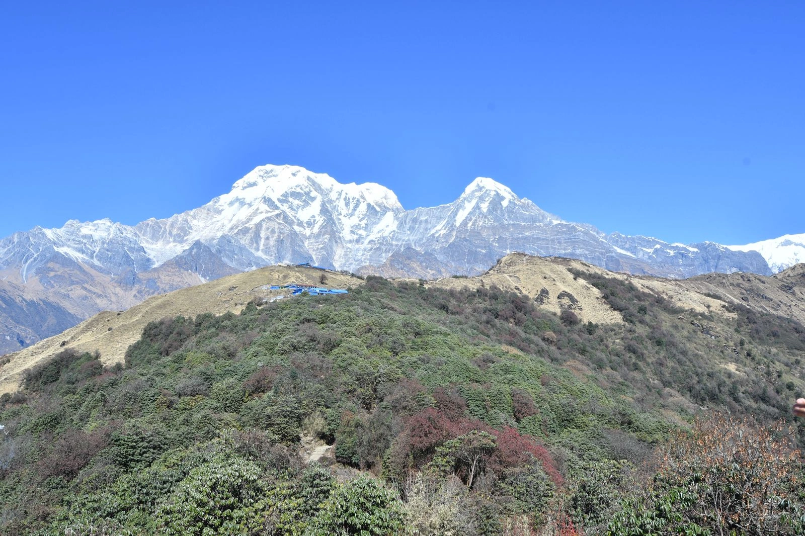 trail-of-mardi-himal-trek.webp