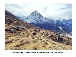 A Group of trekkers walking towards Dengboche from Lobuche during Mt. Everest Base Camp Trek