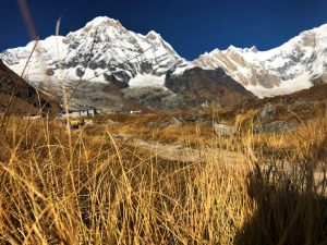 Mountains and the bushes in Annapurna Base Camp
