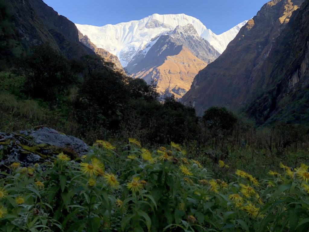 25 popular treks in Nepal