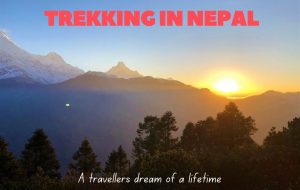 Mardi Himal Trekking in Nepal 
