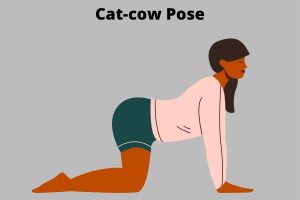 Cat Cow Yoga Pose