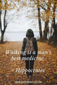 Walking quote for captions by Hippocrates 