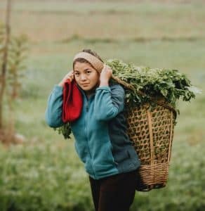 A girl carrying Doko, a traditional basket made up of bamboo used to carry grass, fruits, vegetables.
