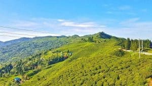 view of tea garden from Kanyam hill station in Illam