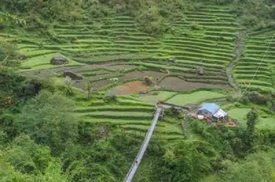 Agriculture Farmland in Annapurna Circuit