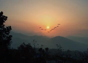 Romantic sunset and birds captured from one of the best valentine's gateways in Nepal